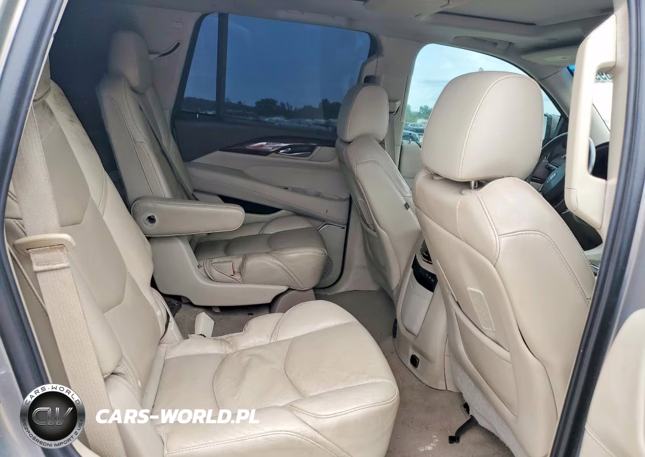 2017 Cadillac Escalade Luxury VIN:1GYS3BKJXHR320395 - 10