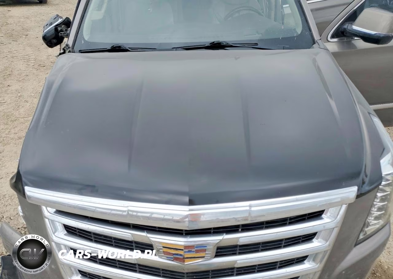 2017 Cadillac Escalade Luxury VIN:1GYS3BKJXHR320395 - 11