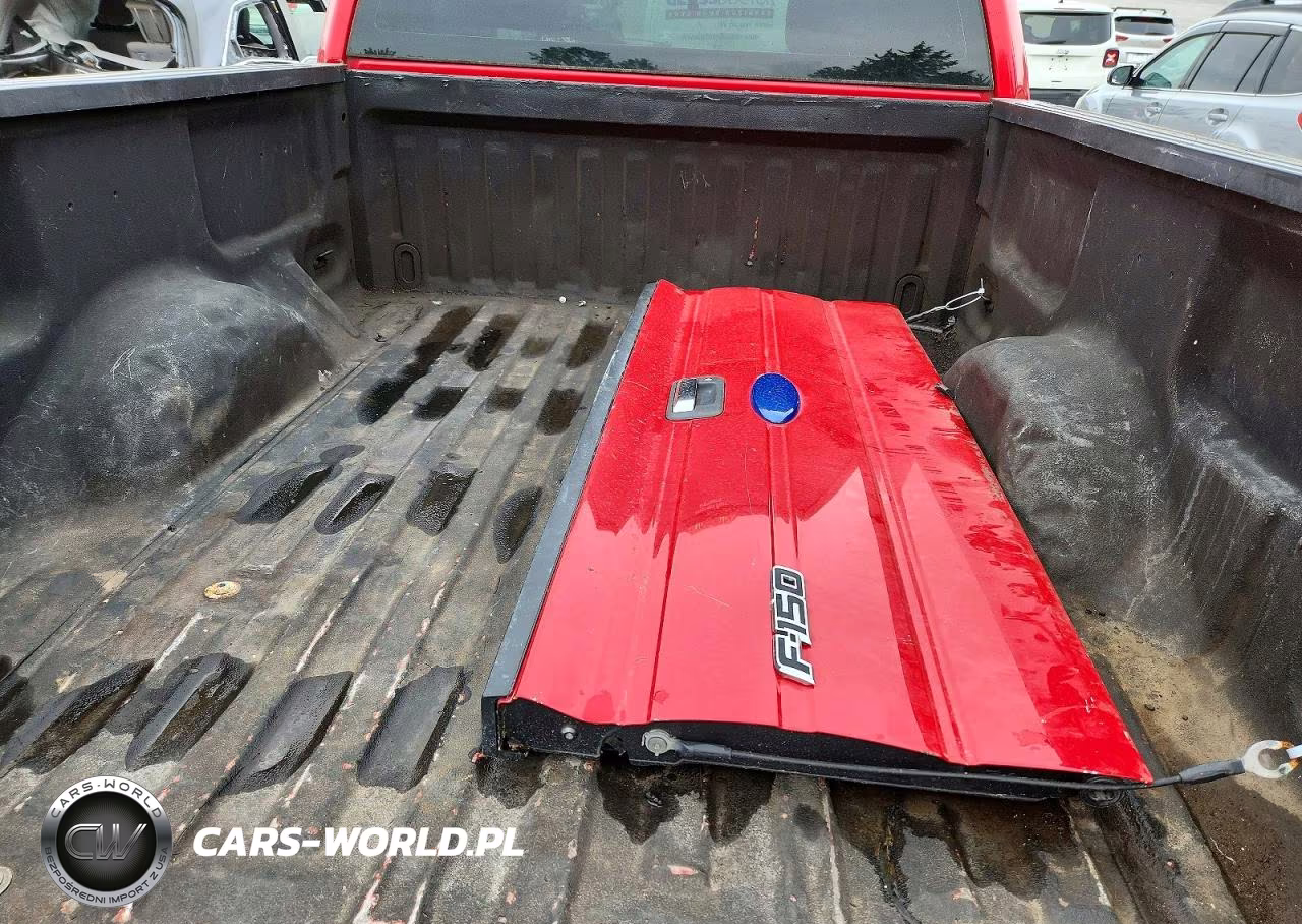 2009 Ford F150 VIN:1FTRF12W09KB74326 - 12