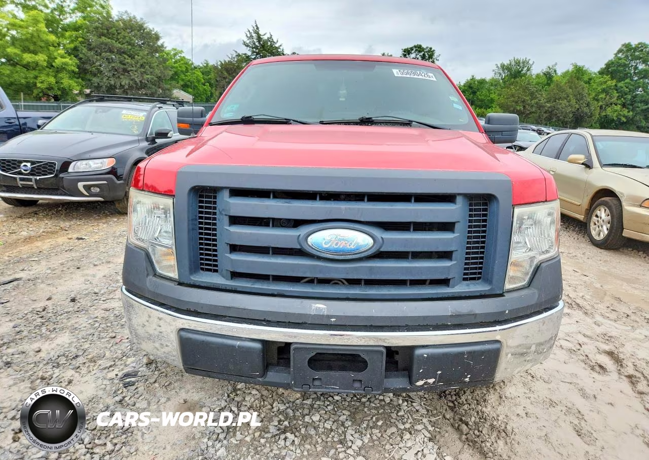 2009 Ford F150 VIN:1FTRF12W09KB74326 - 5