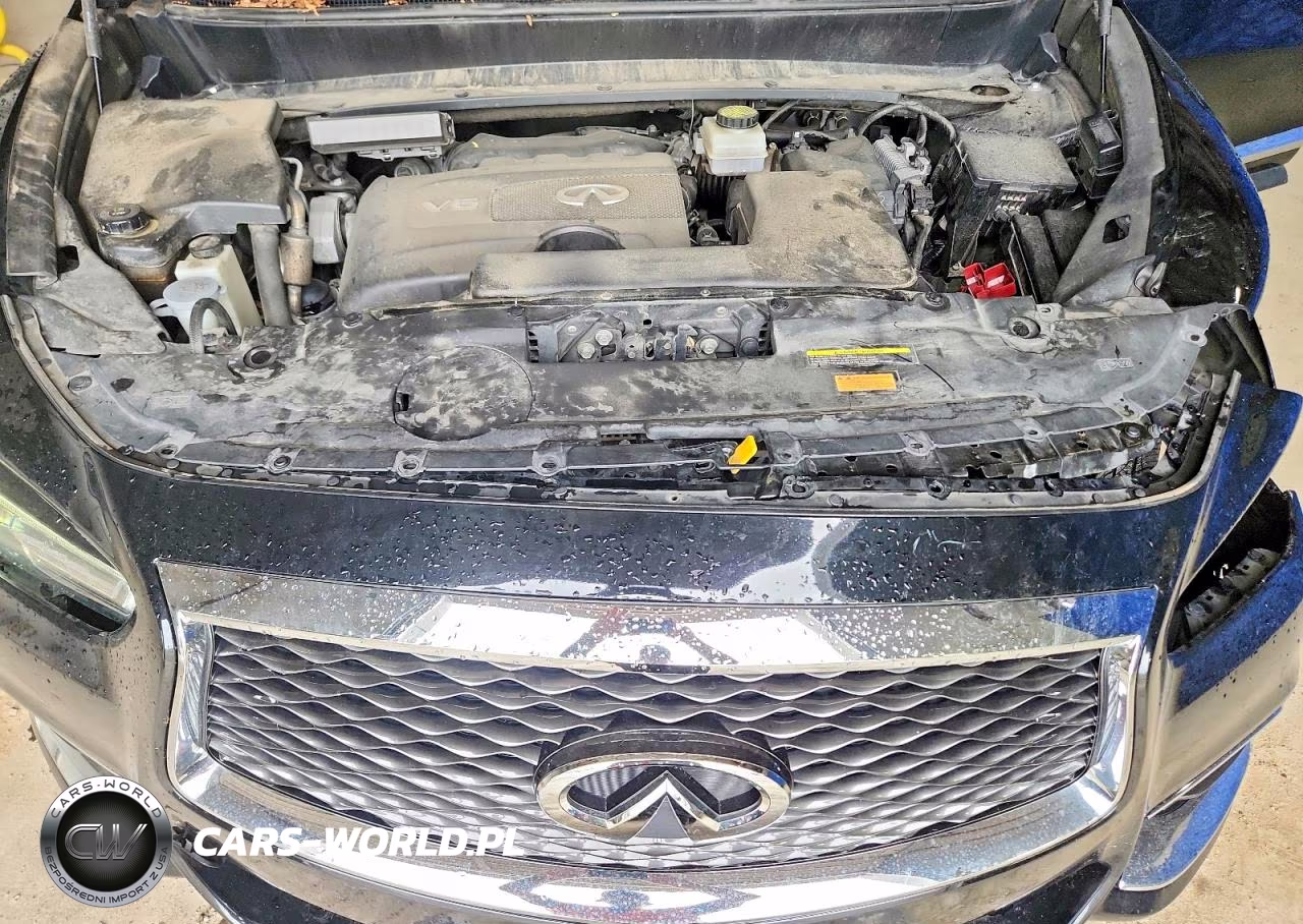 2020 Infiniti Qx60 Pure VIN:5N1DL0MNXLC537598 - 12