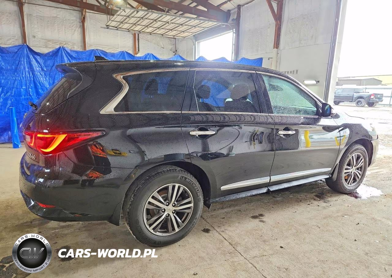 2020 Infiniti Qx60 Pure VIN:5N1DL0MNXLC537598 - 3