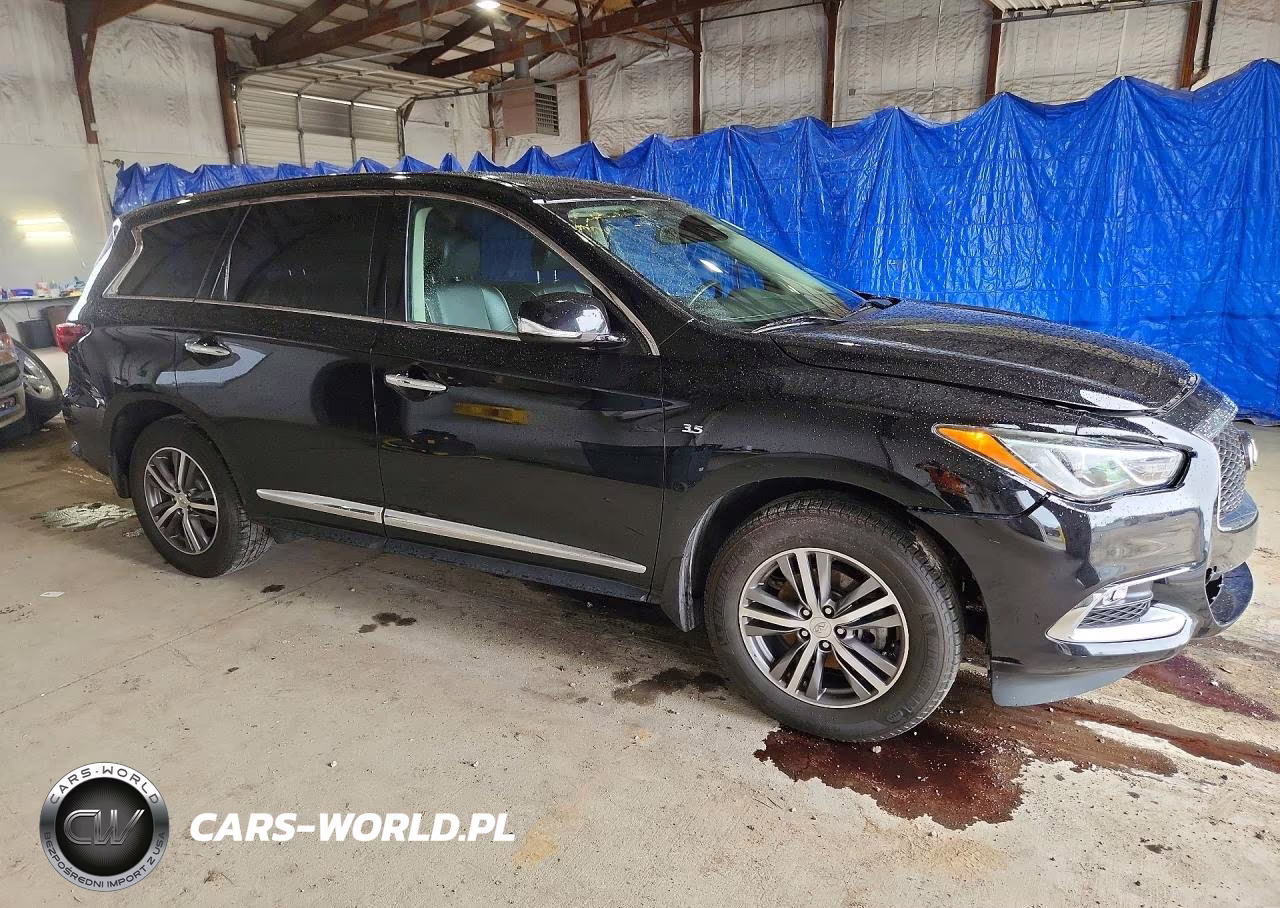 2020 Infiniti Qx60 Pure VIN:5N1DL0MNXLC537598 - 4