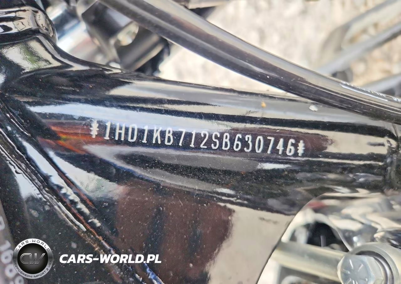 2025 Harley-Davidson Flhx VIN:1HD1KB712SB630746 - 10