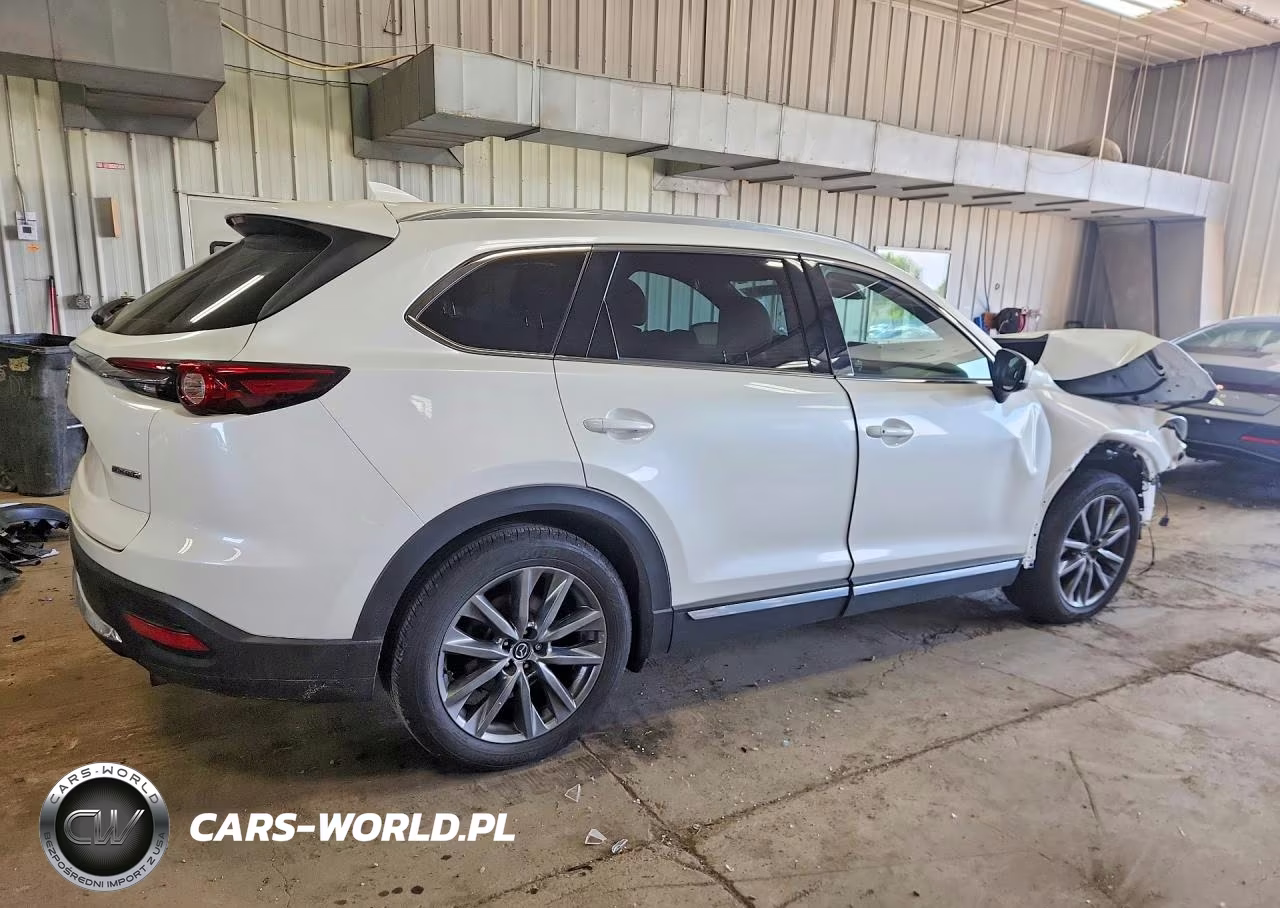 2020 Mazda Cx-9 Signature VIN:JM3TCBEY3L0411466 - 3