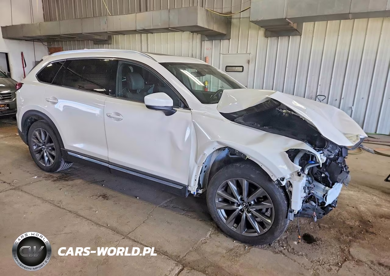 2020 Mazda Cx-9 Signature VIN:JM3TCBEY3L0411466 - 4