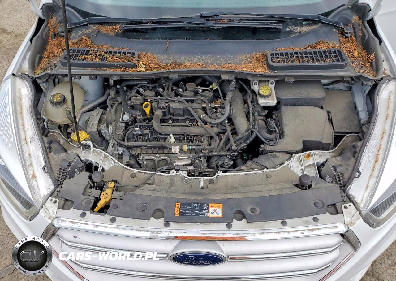 2019 Ford Escape Sel VIN:1FMCU9HD2KUC18428 - 12