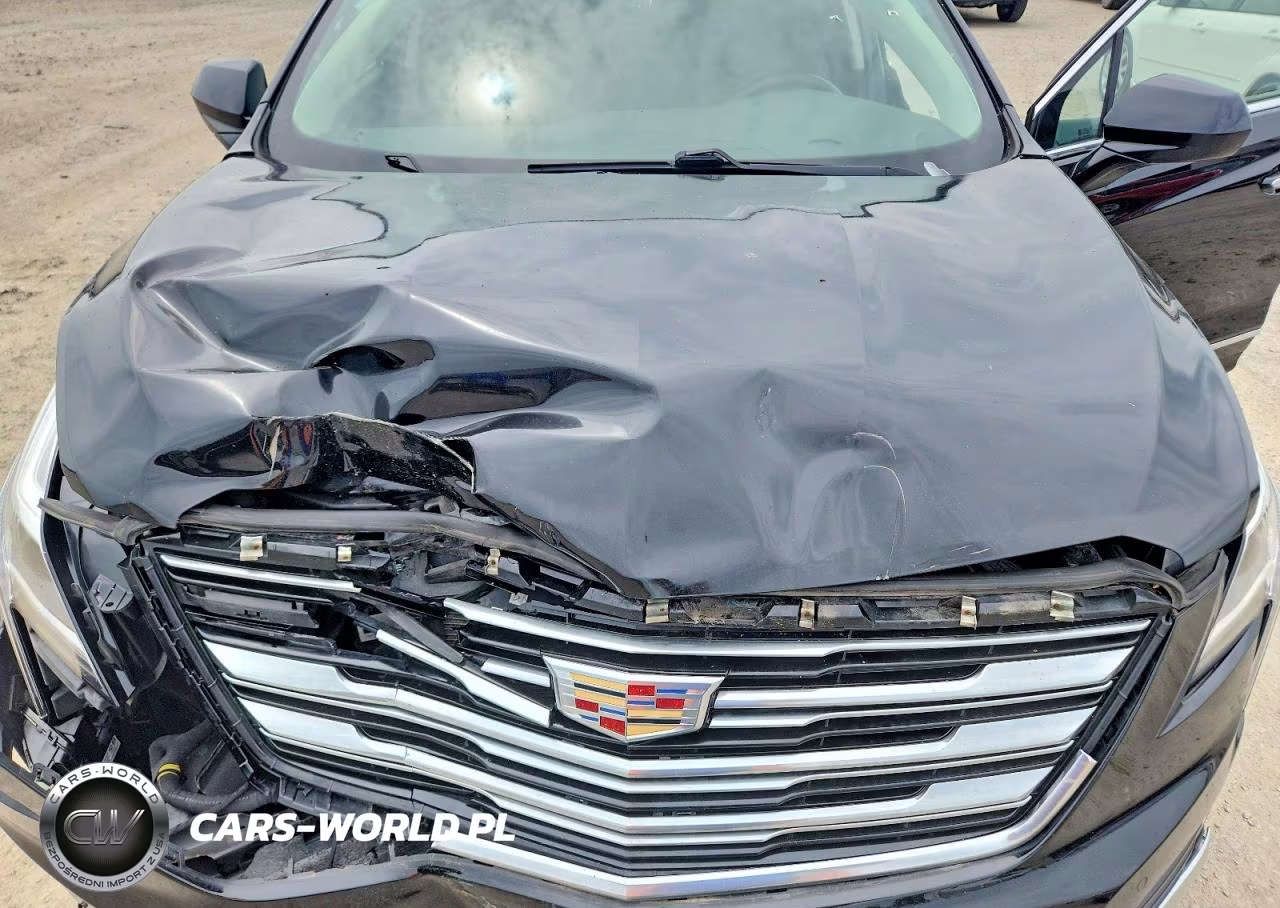 2019 Cadillac Xt5 Luxury VIN:1GYKNDRS8KZ195585 - 12