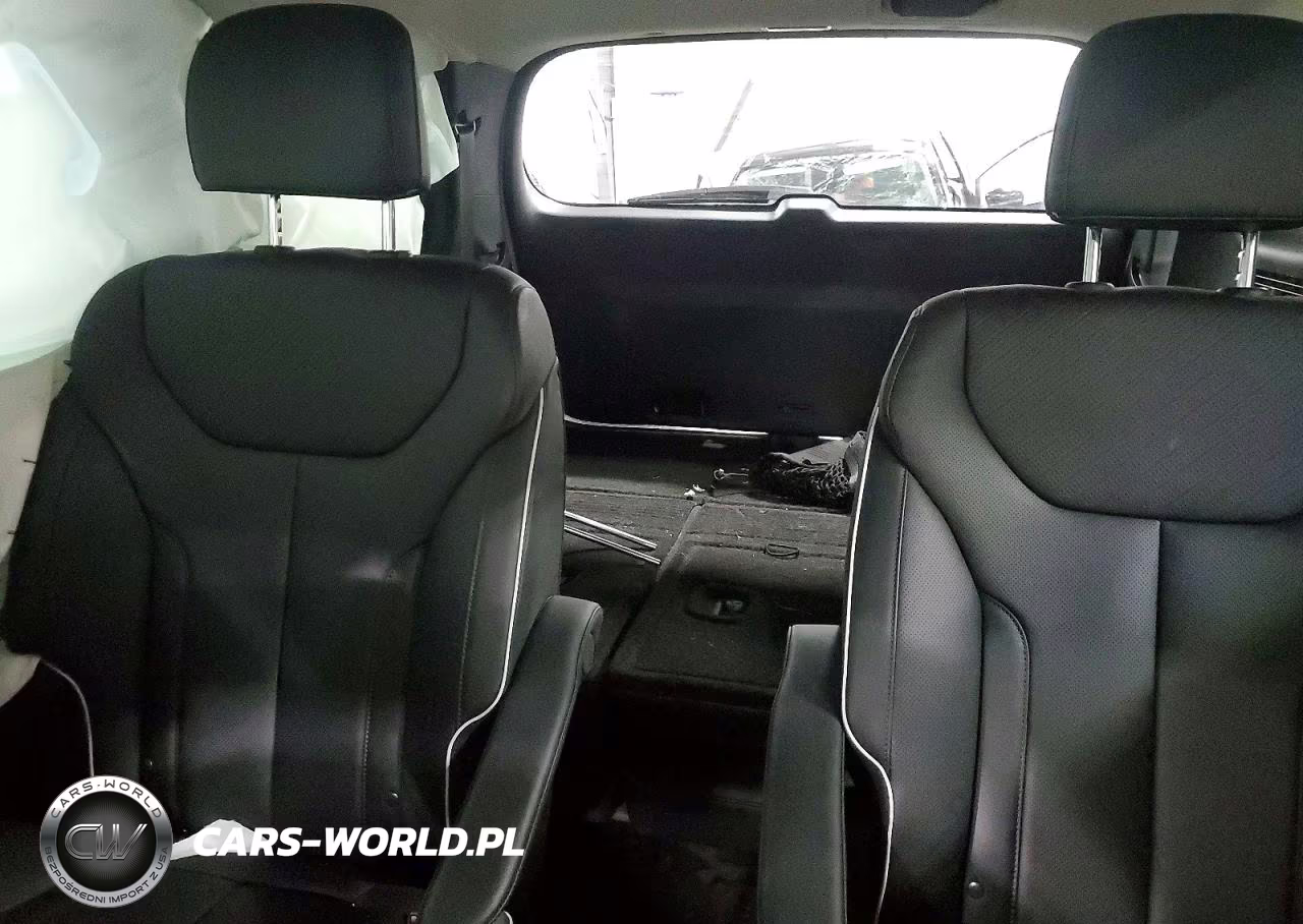 2025 Hyundai Palisade Xrt VIN:KM8R3DGE0SU861175 - 10