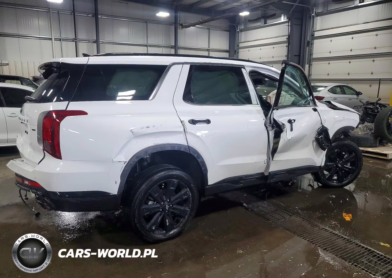2025 Hyundai Palisade Xrt VIN:KM8R3DGE0SU861175 - 3