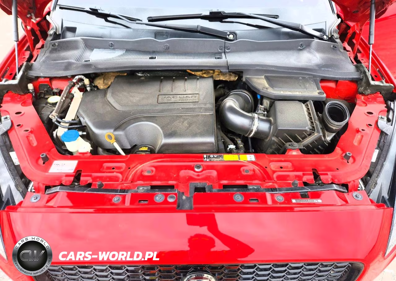 2018 Jaguar E-Pace First Edition VIN:SADFL2FX7J1Z01822 - 12