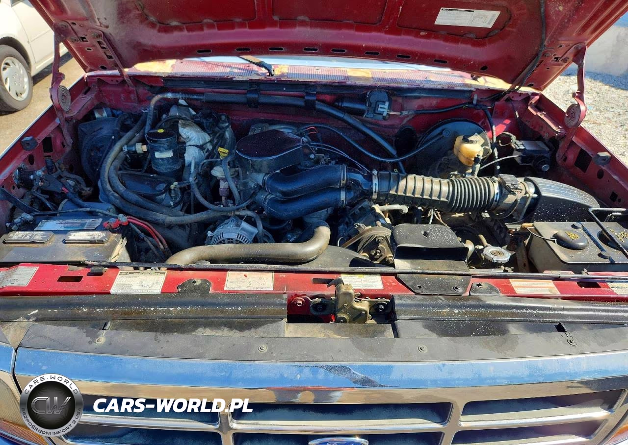 1996 Ford F150 VIN:1FTEF14N5TLA19503 - 11