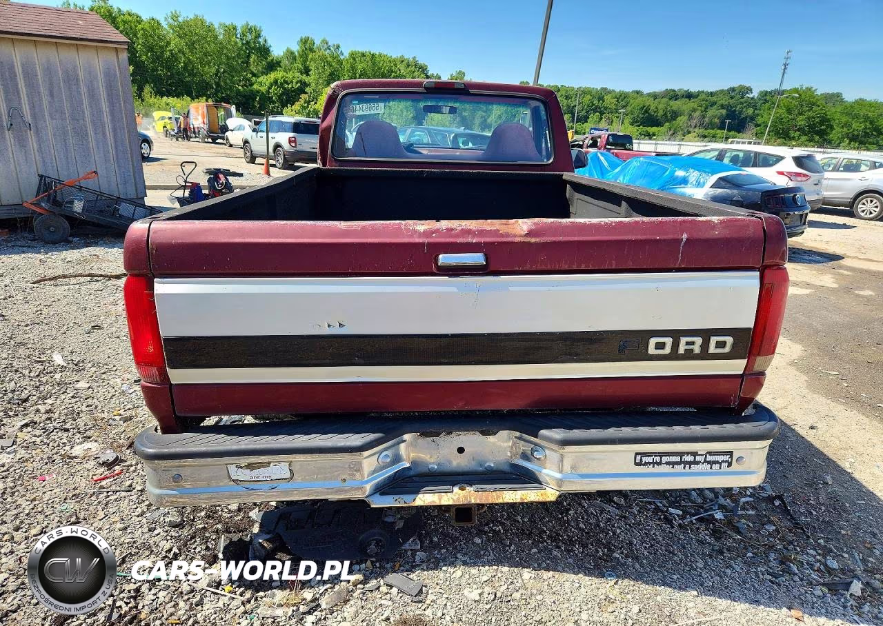 1996 Ford F150 VIN:1FTEF14N5TLA19503 - 6