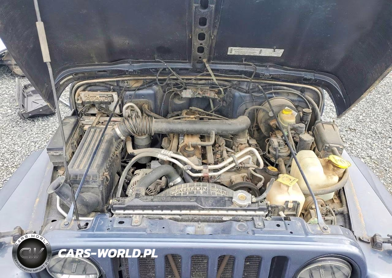2001 Jeep Wrangler - Tj Sport VIN:1J4FA49S31P352155 - 12