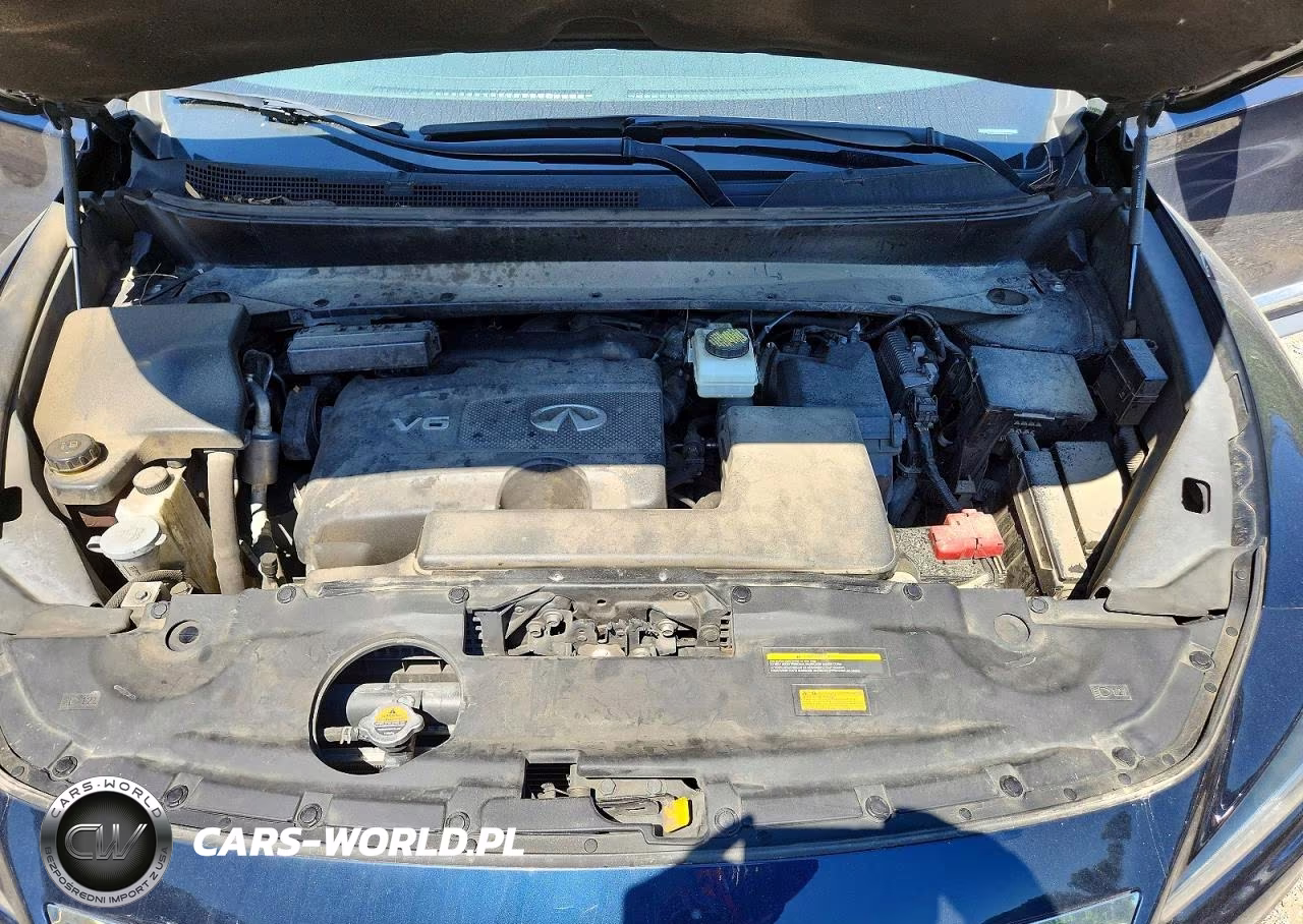 2019 Infiniti Qx60 Pure VIN:5N1DL0MM1KC568194 - 12