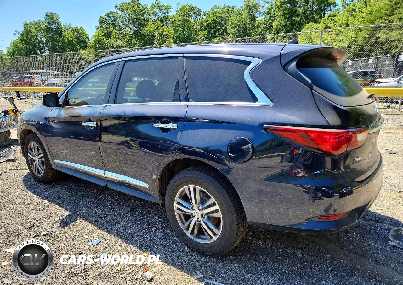 2019 Infiniti Qx60 Pure VIN:5N1DL0MM1KC568194 - 2