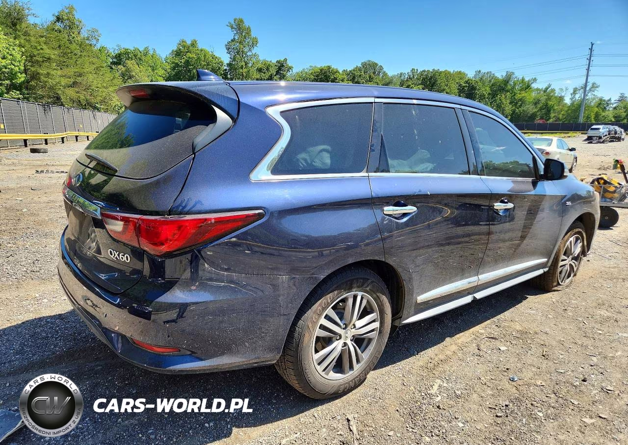 2019 Infiniti Qx60 Pure VIN:5N1DL0MM1KC568194 - 3