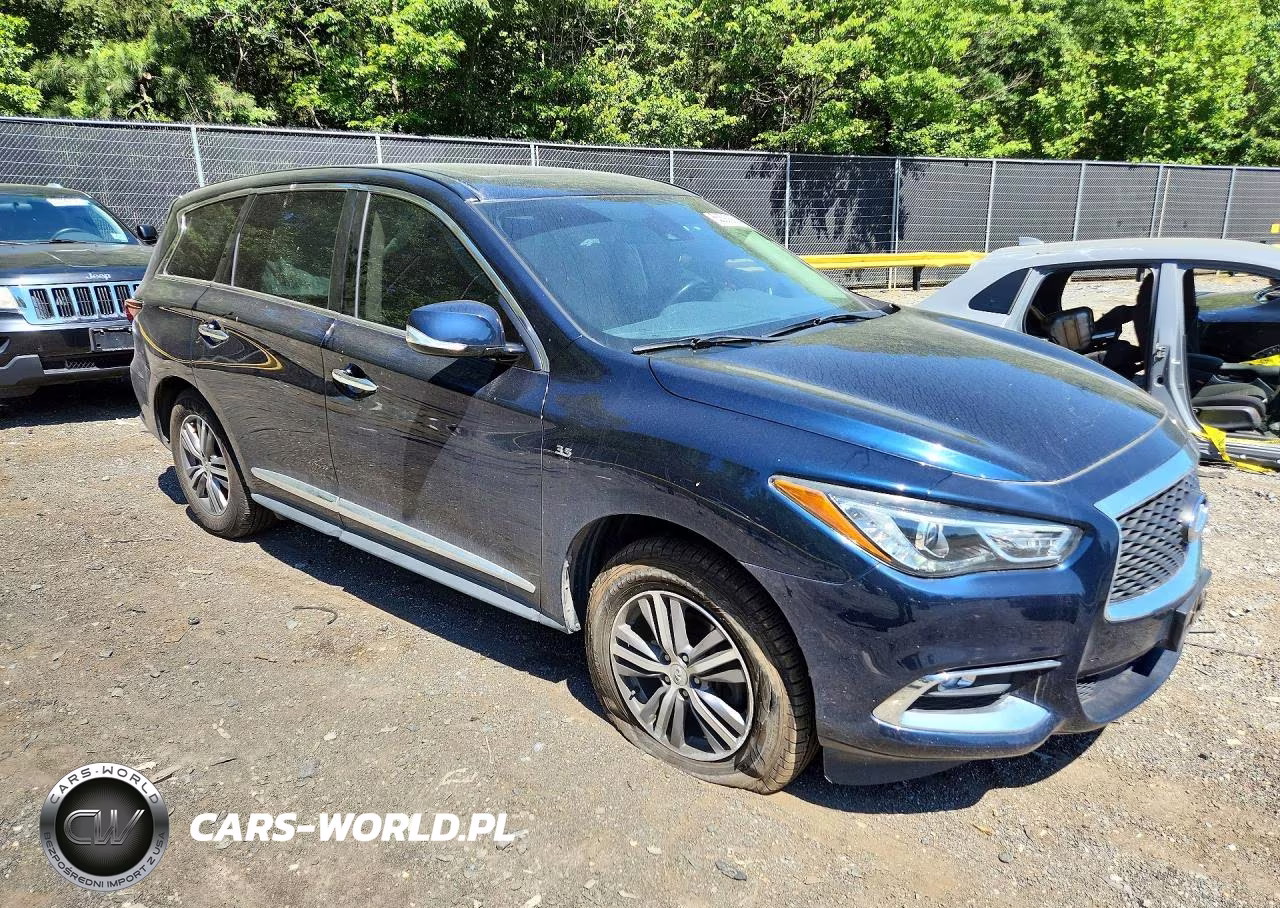 2019 Infiniti Qx60 Pure VIN:5N1DL0MM1KC568194 - 4