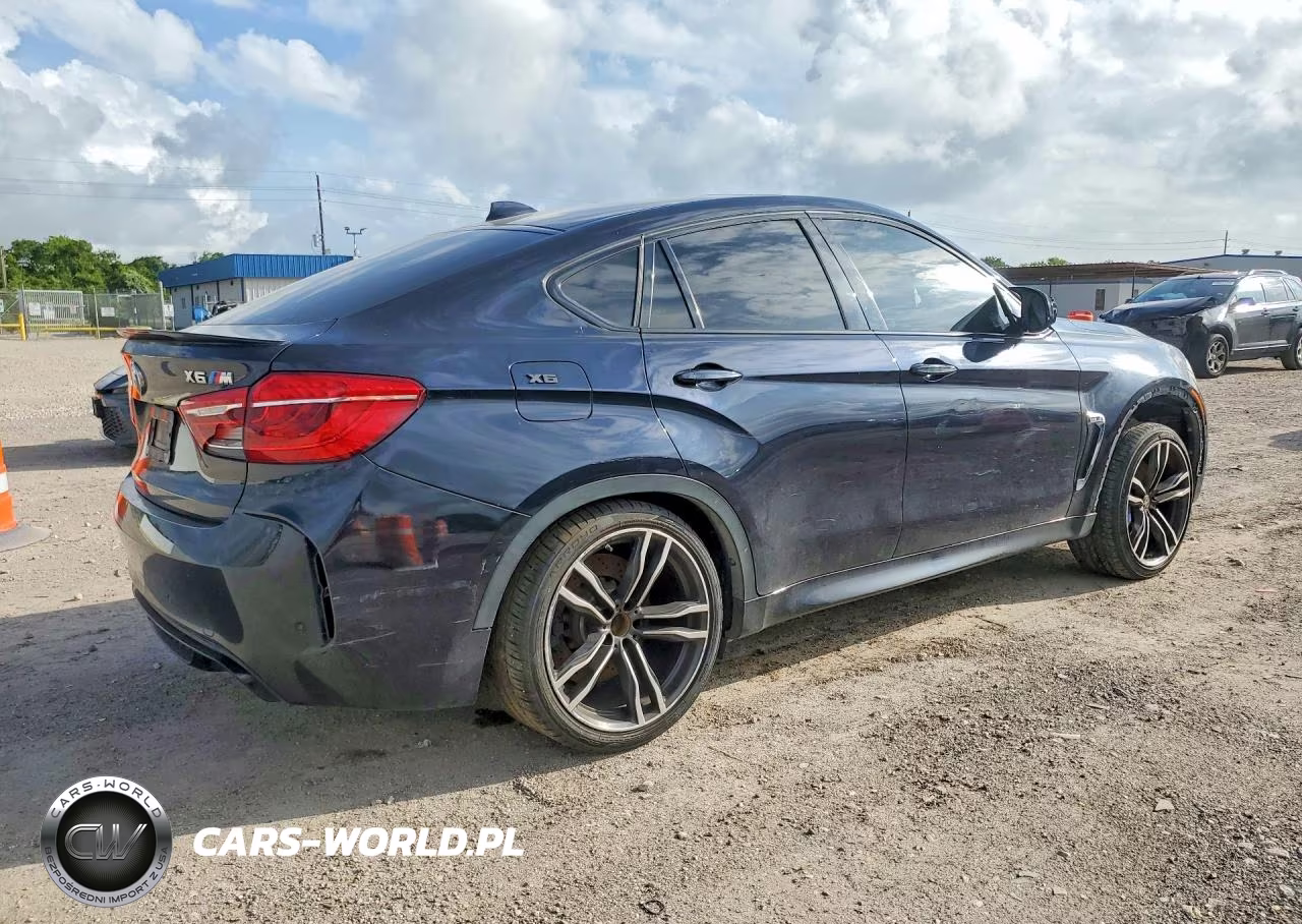 2015 BMW X6 M VIN:5YMKW8C52F0G93976 - 3