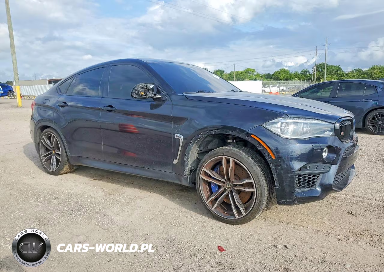 2015 BMW X6 M VIN:5YMKW8C52F0G93976 - 4