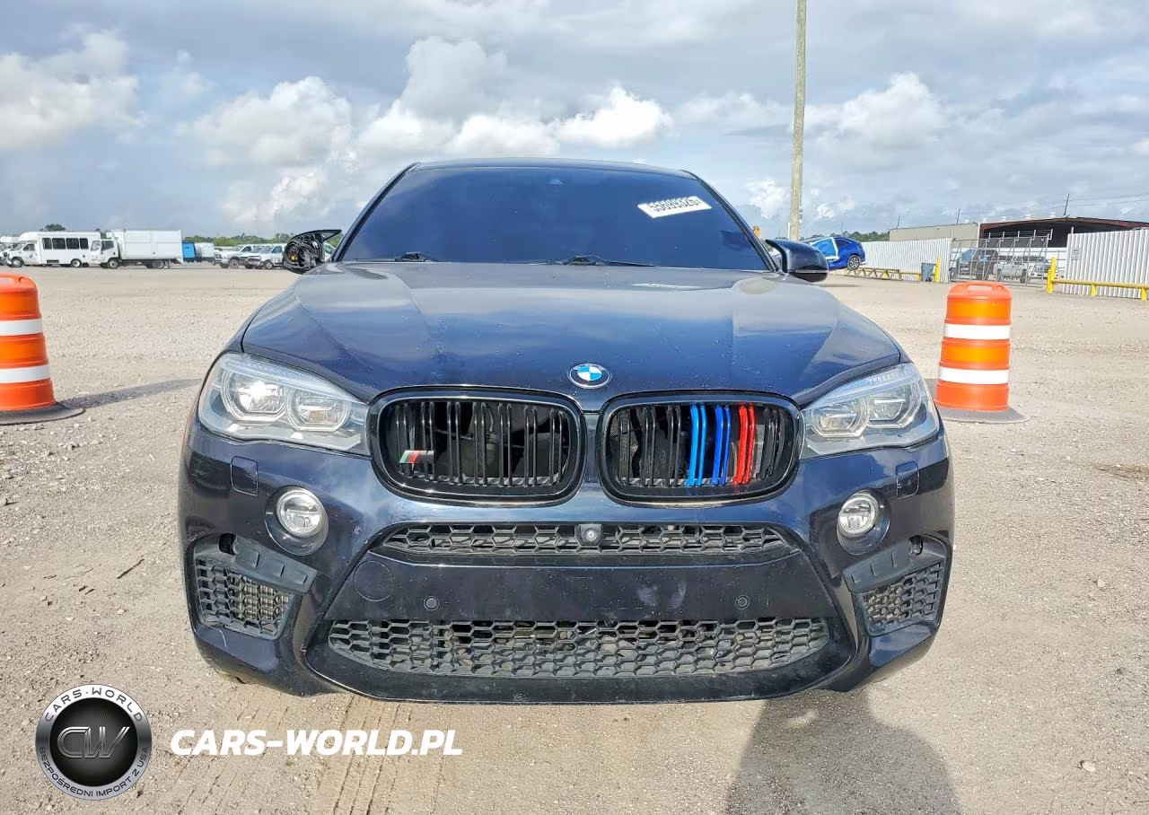 2015 BMW X6 M VIN:5YMKW8C52F0G93976 - 5