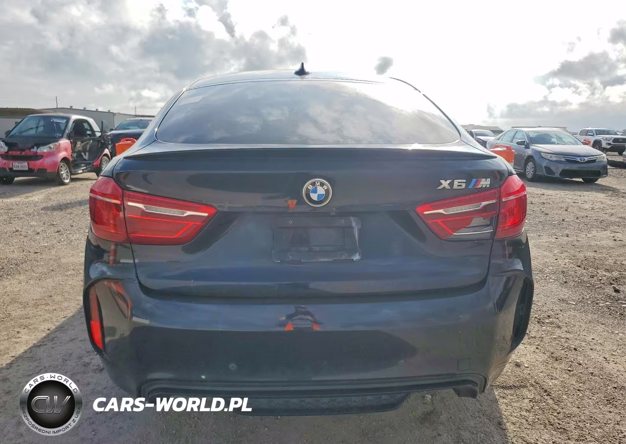 2015 BMW X6 M VIN:5YMKW8C52F0G93976 - 6