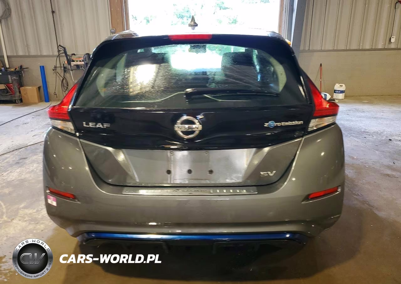 2018 Nissan Leaf Sv VIN:1N4AZ1CP4JC301031 - 6