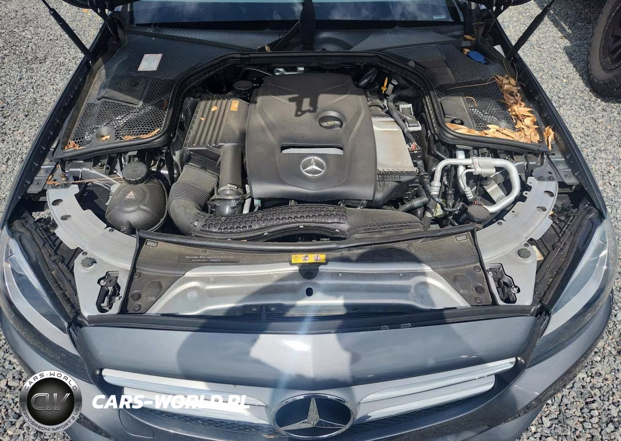 2017 Mercedes-Benz C 300 VIN:55SWF4JBXHU199618 - 11
