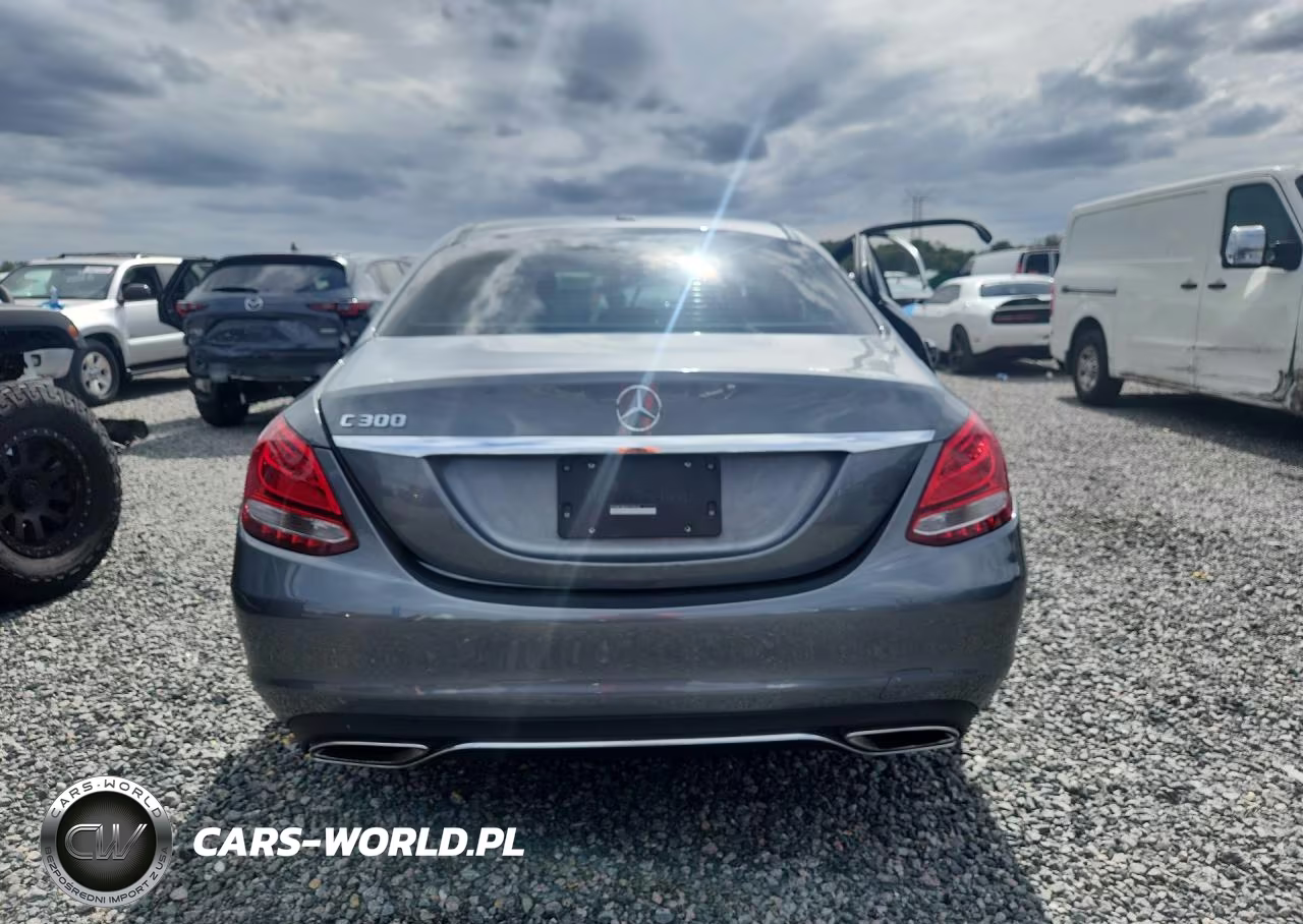 2017 Mercedes-Benz C 300 VIN:55SWF4JBXHU199618 - 6