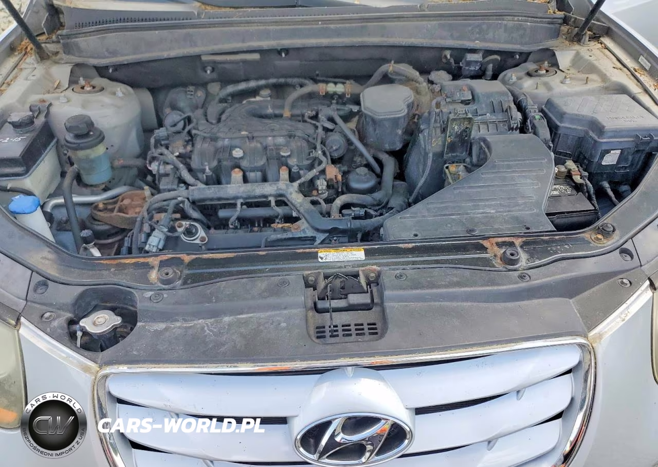 2010 Hyundai Santa Fe Se VIN:5NMSHDAGXAH355554 - 12