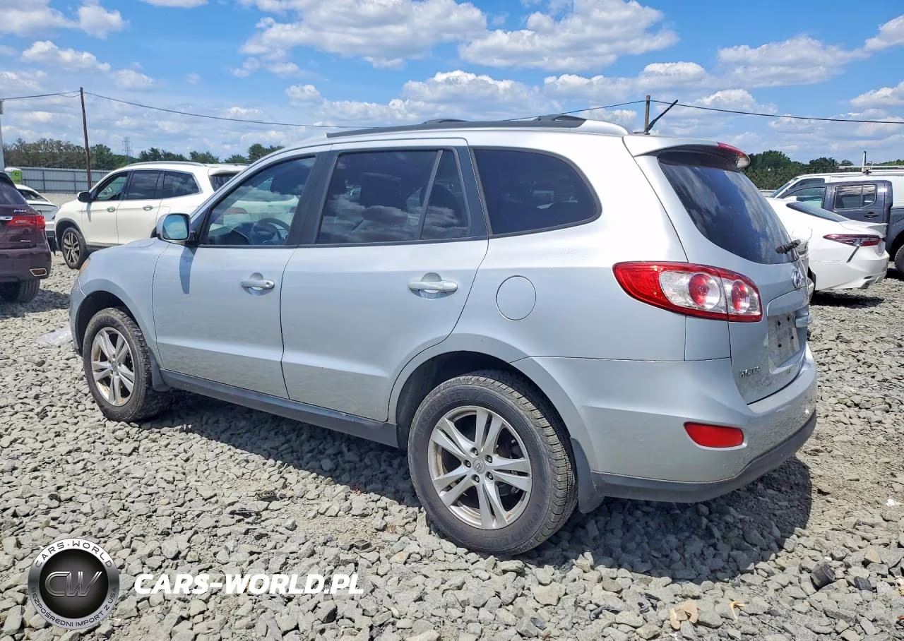 2010 Hyundai Santa Fe Se VIN:5NMSHDAGXAH355554 - 2