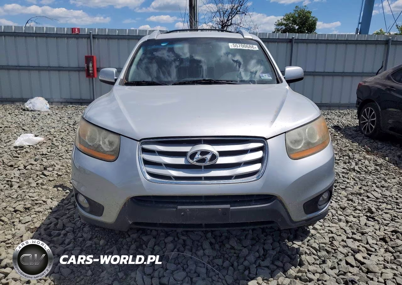2010 Hyundai Santa Fe Se VIN:5NMSHDAGXAH355554 - 5