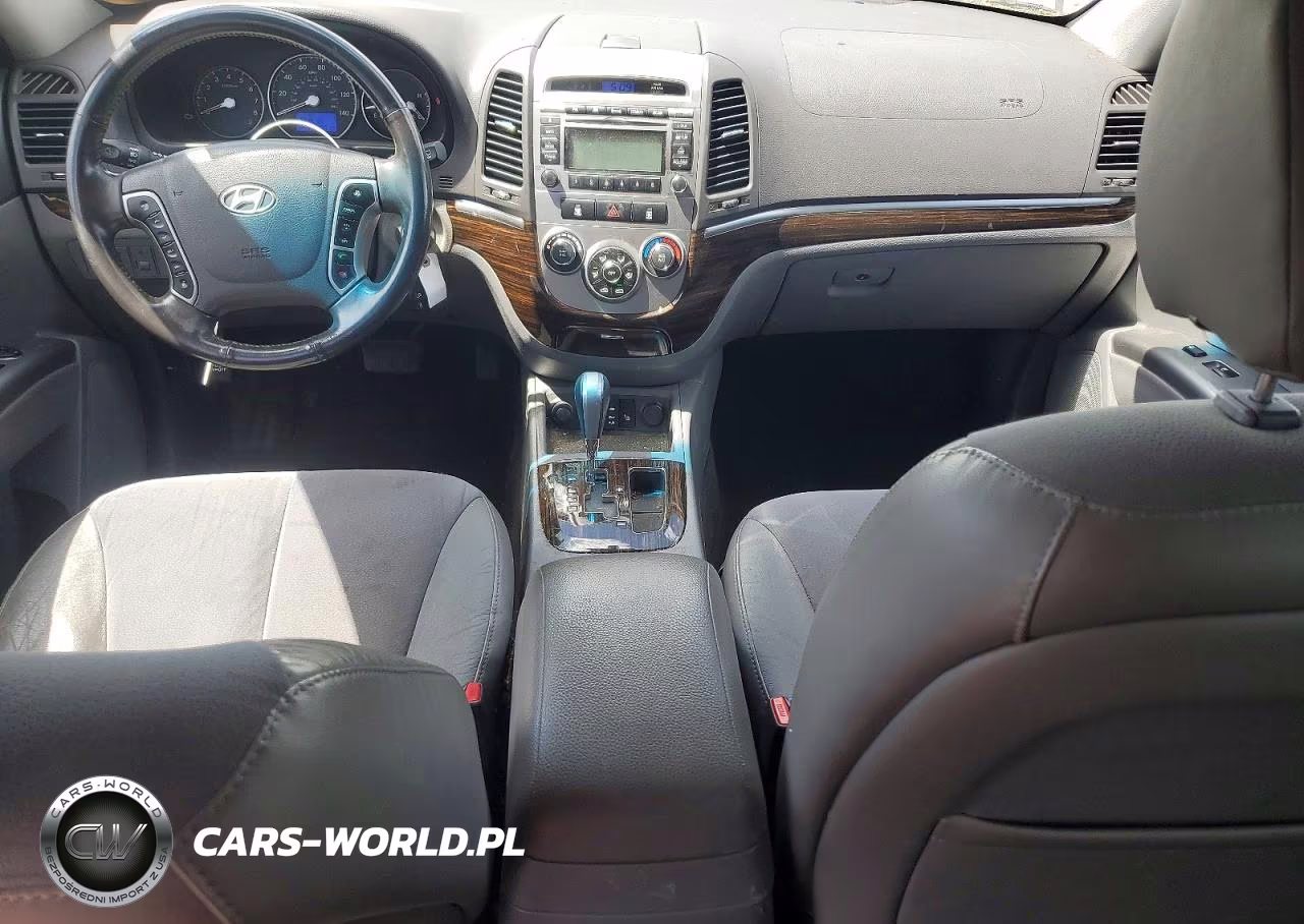 2010 Hyundai Santa Fe Se VIN:5NMSHDAGXAH355554 - 8
