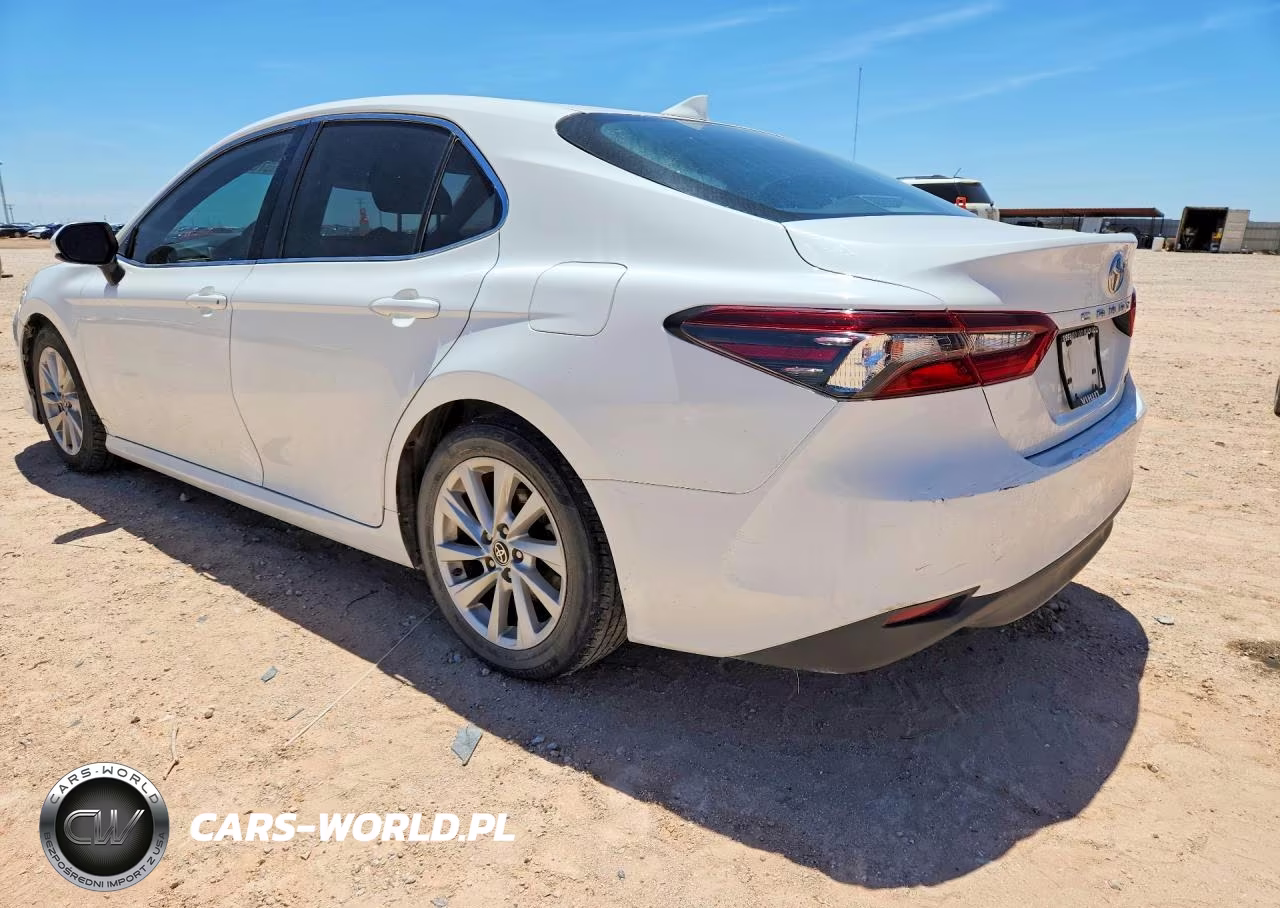 2021 Toyota Camry Le VIN:4T1C11AK1MU490698 - 2