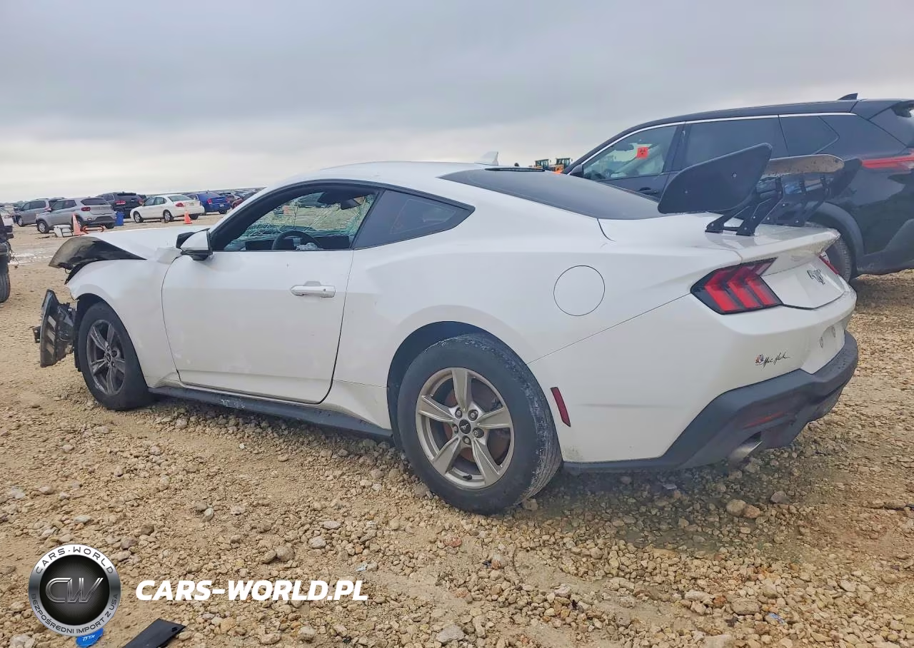 2024 Ford Mustang VIN:1FA6P8TH6R5118369 - 2
