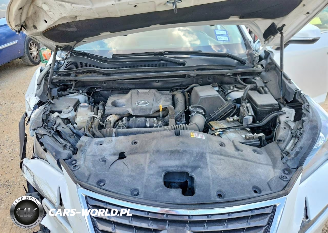 2021 Lexus Nx 300 Base VIN:JTJDARBZ2M5030766 - 12