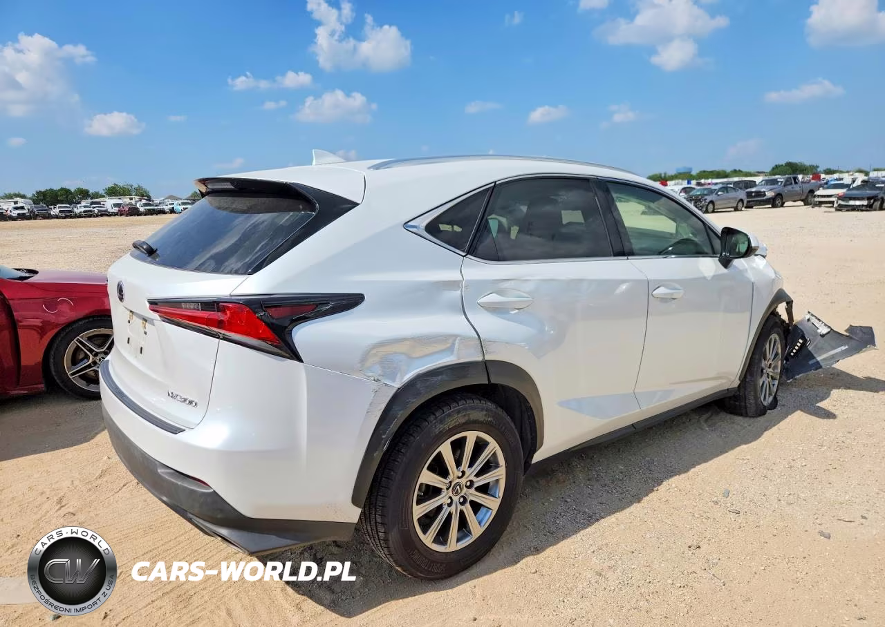 2021 Lexus Nx 300 Base VIN:JTJDARBZ2M5030766 - 3