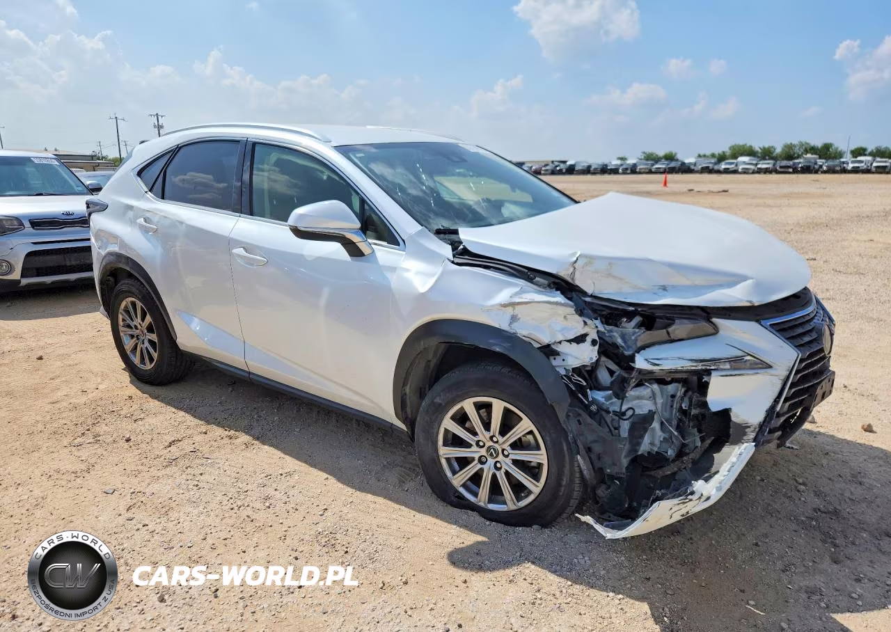 2021 Lexus Nx 300 Base VIN:JTJDARBZ2M5030766 - 4