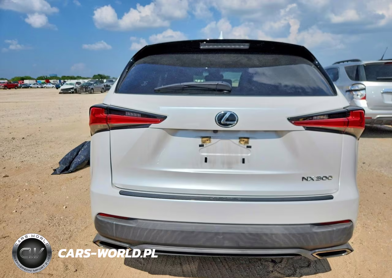 2021 Lexus Nx 300 Base VIN:JTJDARBZ2M5030766 - 6