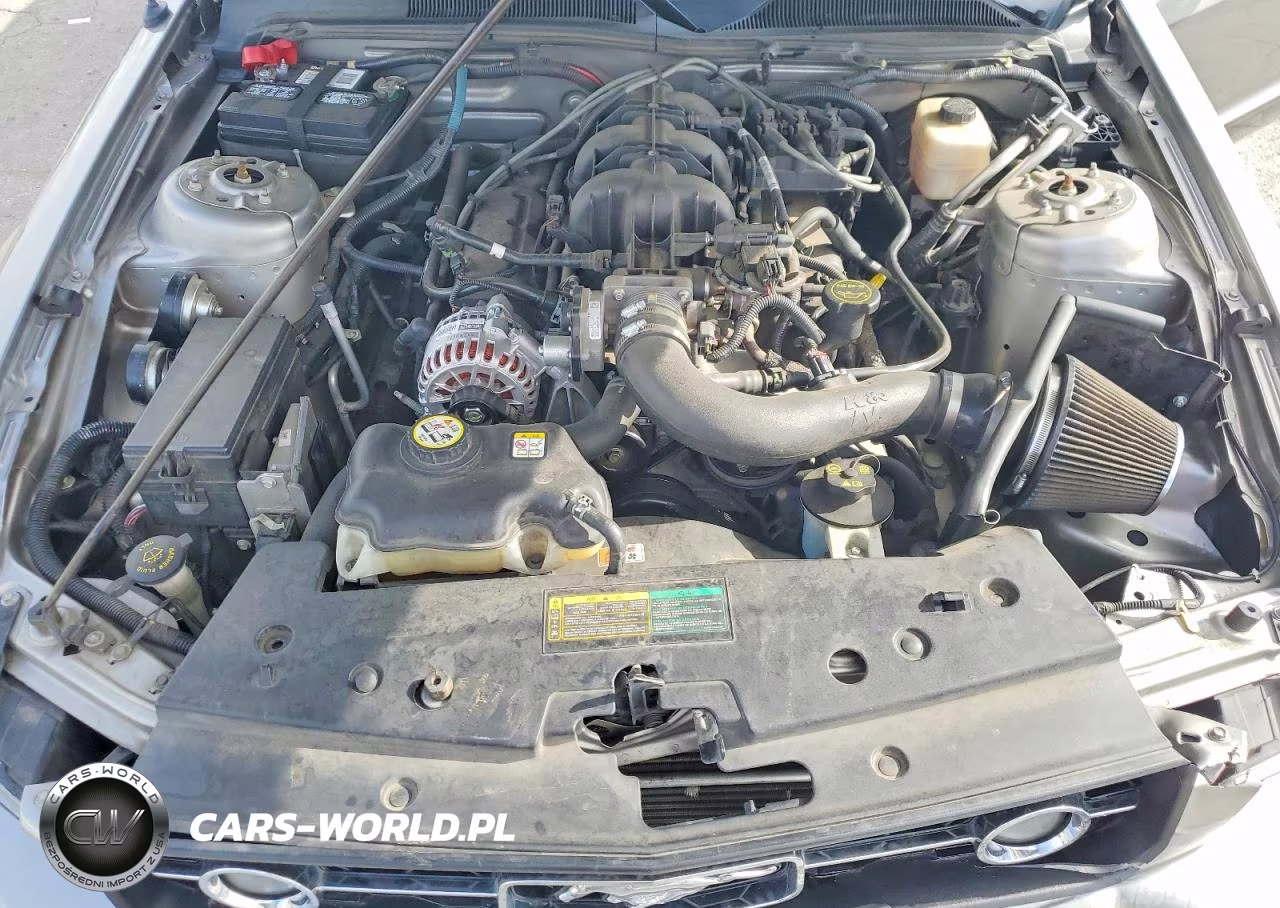 2008 Ford Mustang VIN:1ZVHT84N485159808 - 11
