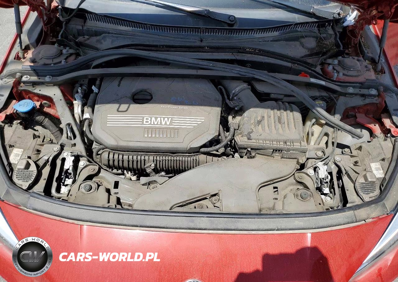 2021 BMW 228XI VIN:WBA73AK03M7H58162 - 11