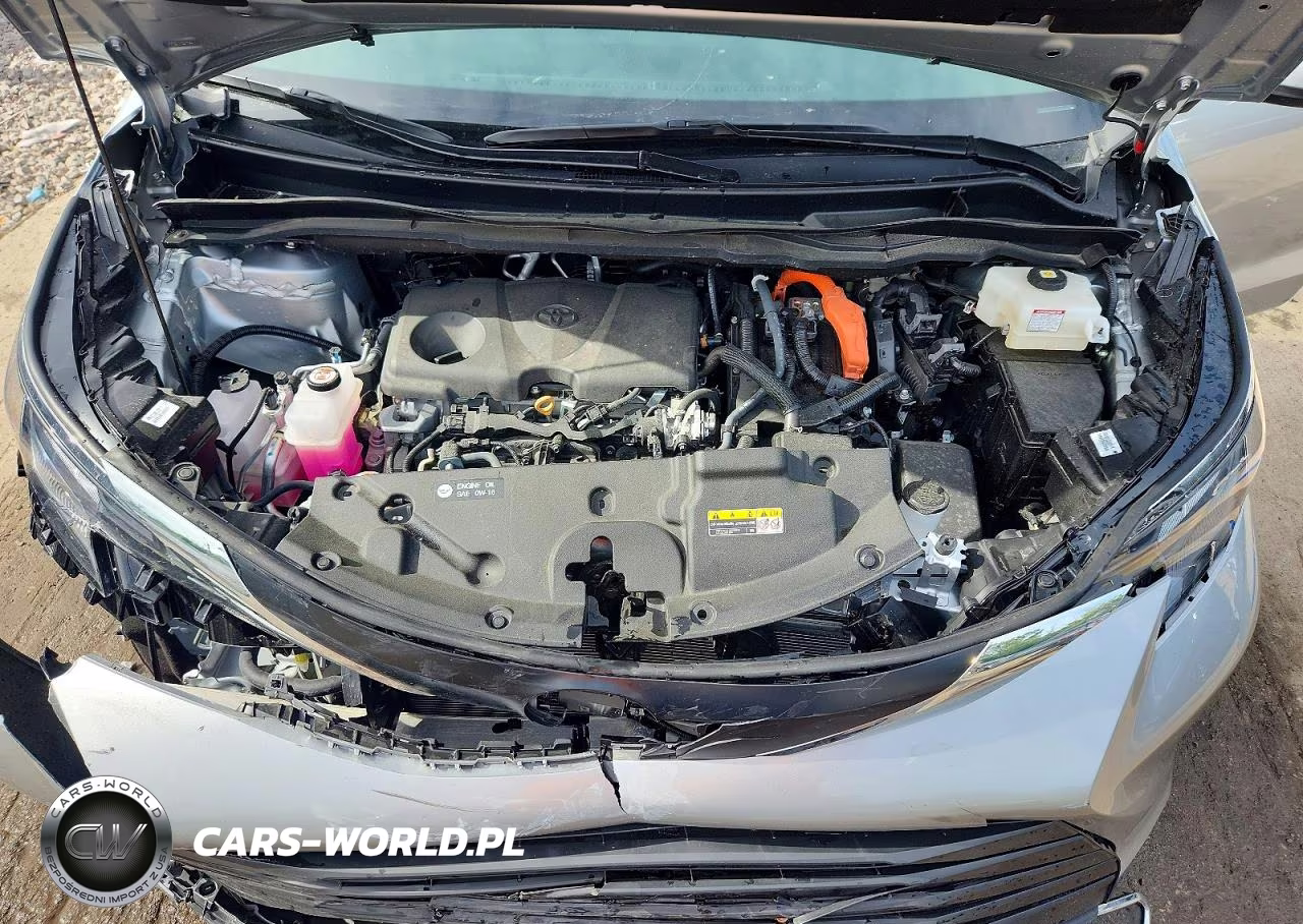2024 Toyota Sienna Xle 7-Passenger VIN:5TDYSKFC0RS118697 - 12