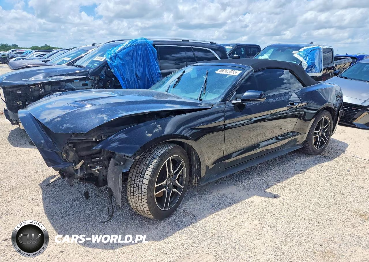 2019 Ford Mustang