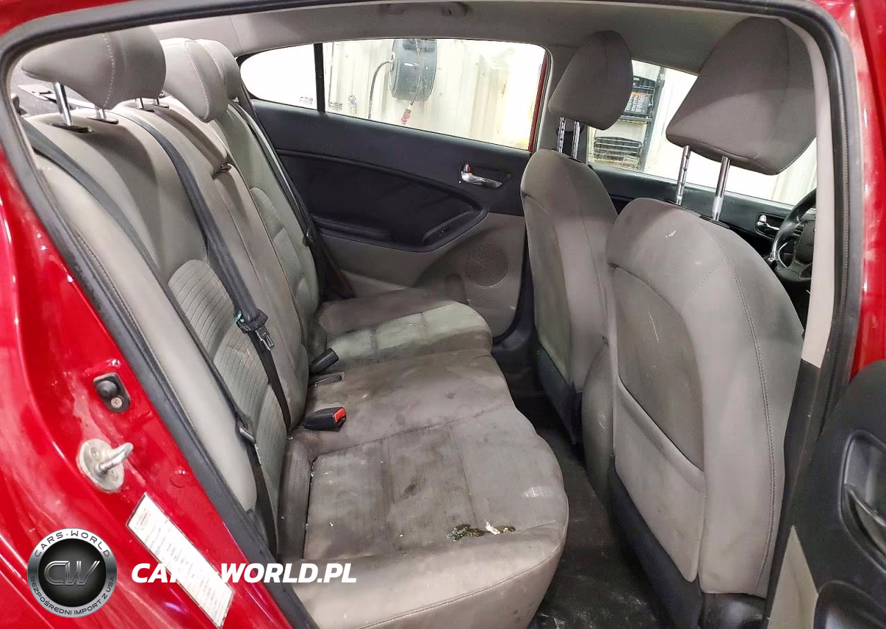 2015 Kia Forte Lx VIN:KNAFX4A63F5416665 - 10