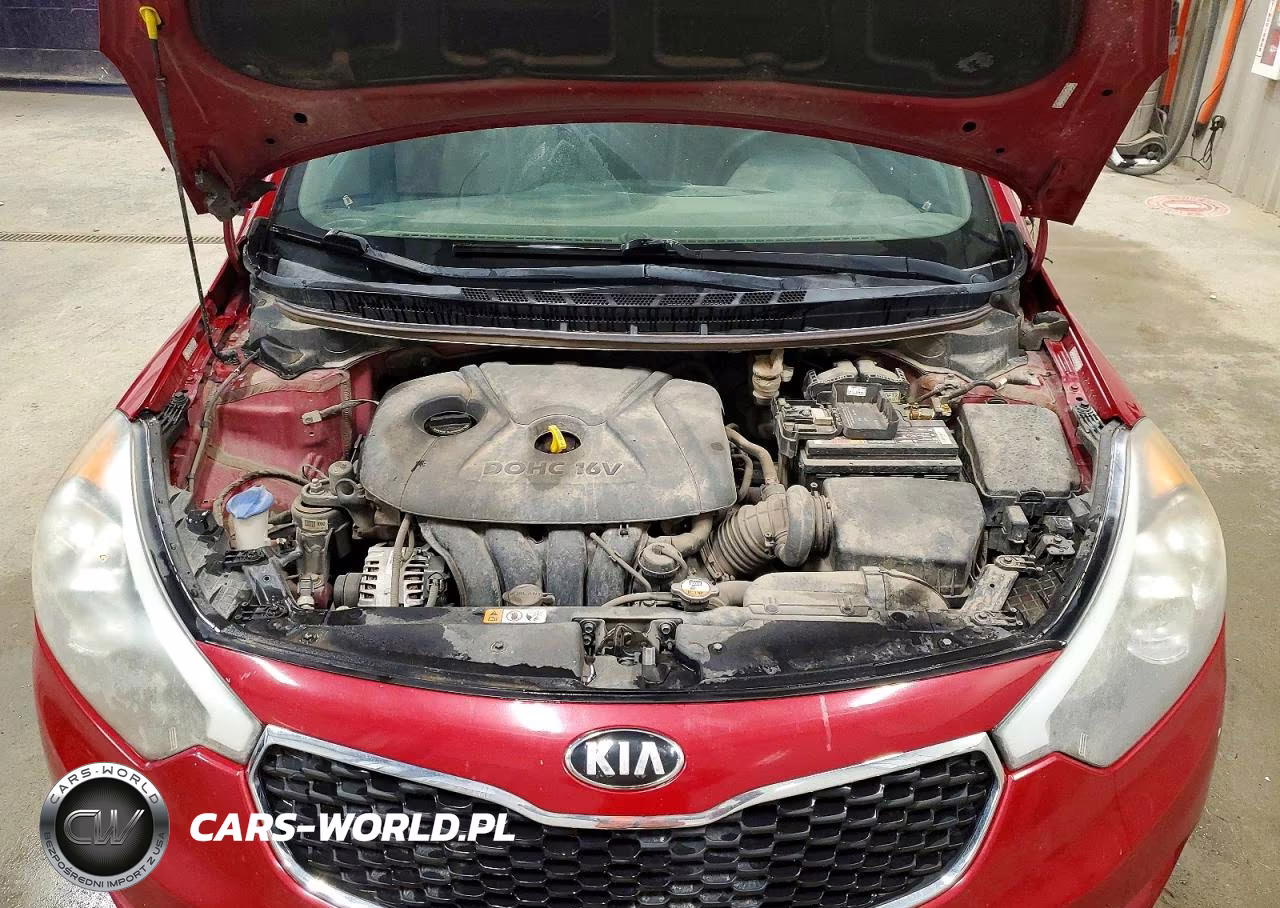 2015 Kia Forte Lx VIN:KNAFX4A63F5416665 - 11