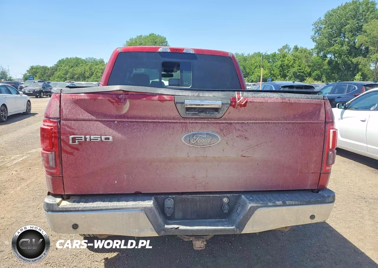 2017 Ford F150 Supercrew VIN:1FTEW1EP1HFB51177 - 6