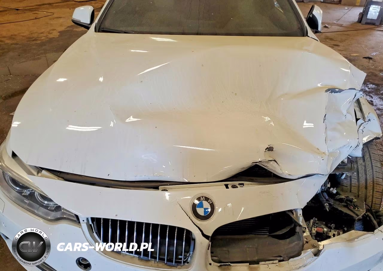 2016 BMW 428 Xi VIN:WBA3N9C57GK250311 - 11