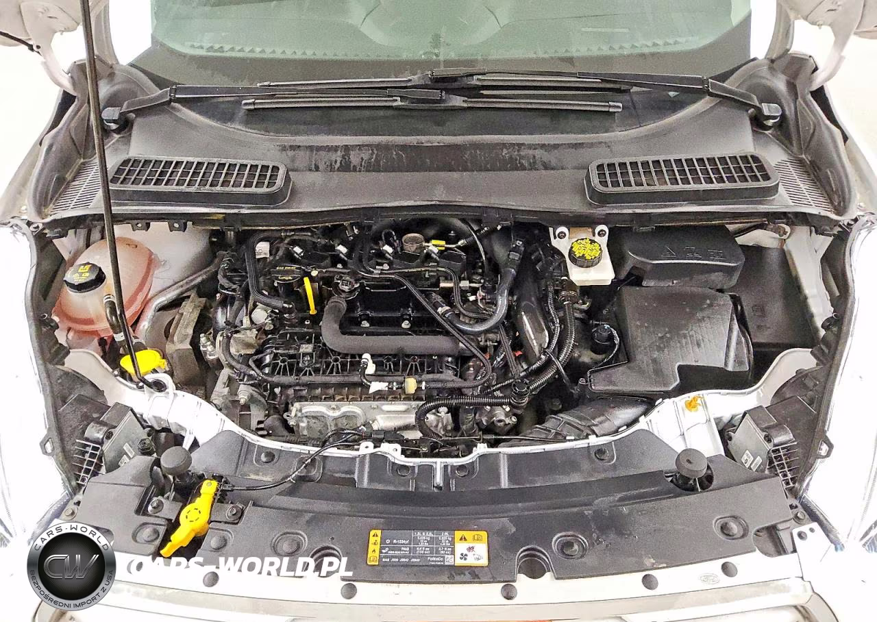 2019 Ford Escape Sel VIN:1FMCU9HD0KUA18938 - 12