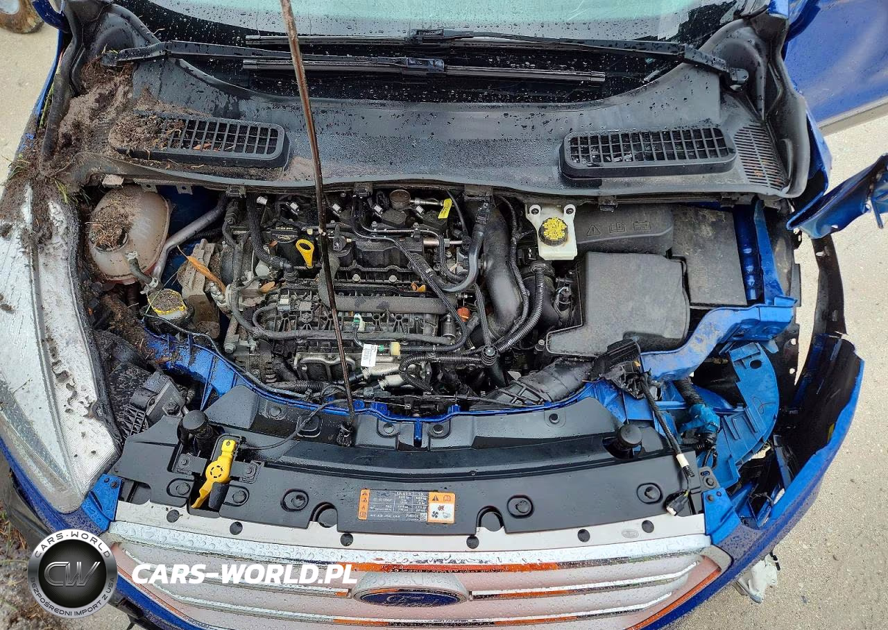 2019 Ford Escape Sel VIN:1FMCU0HDXKUB48365 - 12