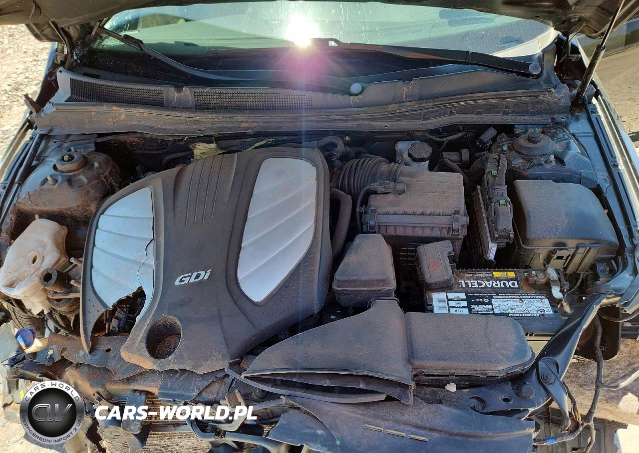 2014 Kia Cadenza Premium VIN:KNALN4D78E5135103 - 11